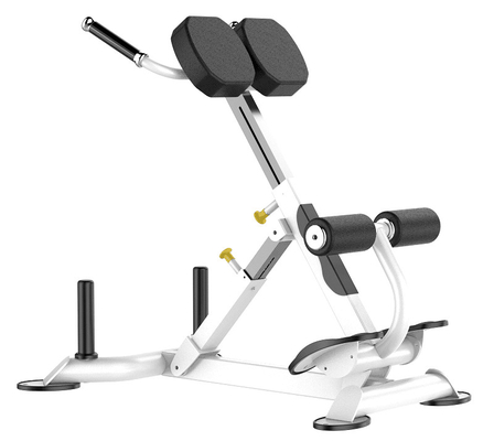 Rohs Roman Chair Máy tập thể dục mở rộng lưng cho phòng tập thể dục