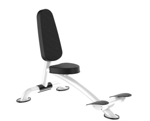 Rohs Roman Chair Máy tập thể dục mở rộng lưng cho phòng tập thể dục