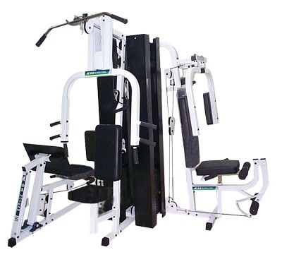 Thiết bị tập thể dục đa chức năng thương mại Burgundy 50kgs / 2 Group