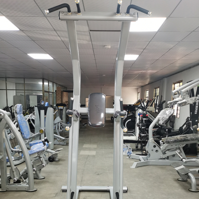 Thể hình Fitness Chin Up Bar Body Fit Machine OEM ODM