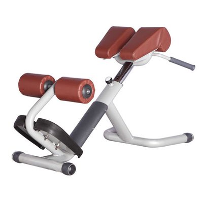 Ghế La Mã thương mại sơn tĩnh điện 1380 * 720 * 620mm