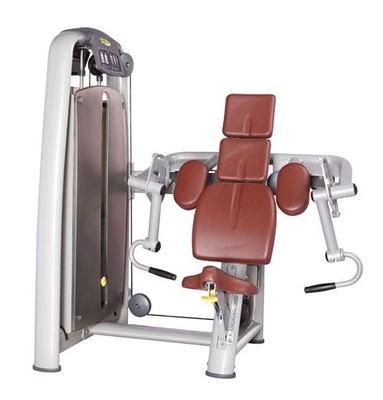 Thiết bị phòng tập thể dục OEM ODM Máy Bicep Curl với da tổng hợp