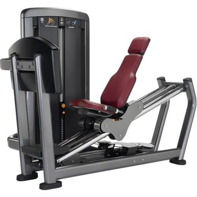 Thiết bị tập thể dục CE New Life Máy ép chân ngồi 228kg