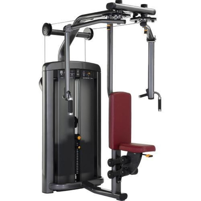 Pec Fly New Life Thiết bị tập thể dục Delt Machine Gym Powder Powder